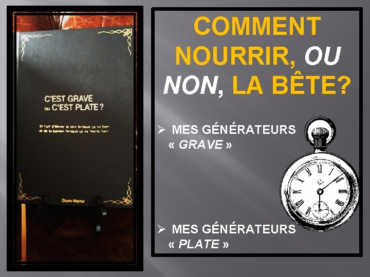 COMMENT NOURRIR, OU NON, LA BÊTE? Ø MES GÉNÉRATEURS « GRAVE » Ø MES