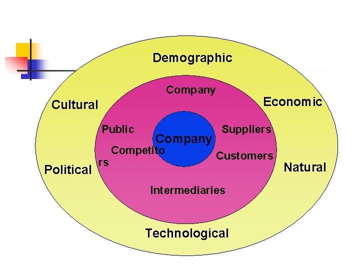 Demographic Company Economic Cultural Public Political rs Company Competito Suppliers Customers Intermediaries Technological Natural