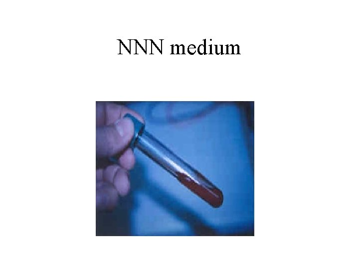 NNN medium 