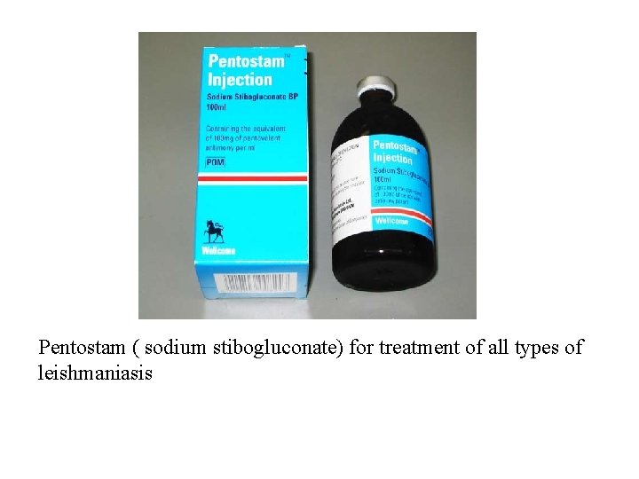Pentostam ( sodium stibogluconate) for treatment of all types of leishmaniasis 