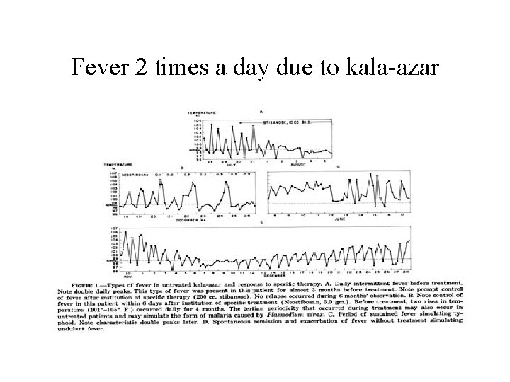 Fever 2 times a day due to kala-azar 