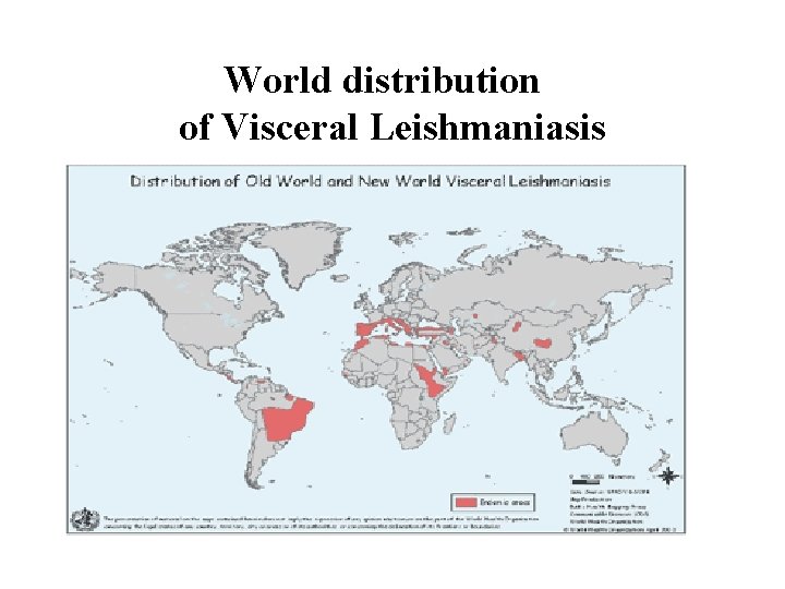 World distribution of Visceral Leishmaniasis 