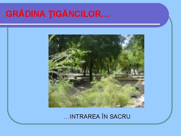 GRĂDINA ŢIGĂNCILOR… …INTRAREA ÎN SACRU 