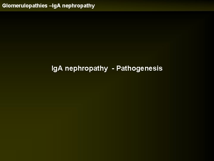 Glomerulopathies –Ig. A nephropathy - Pathogenesis 