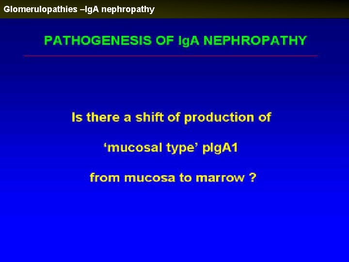 Glomerulopathies –Ig. A nephropathy 