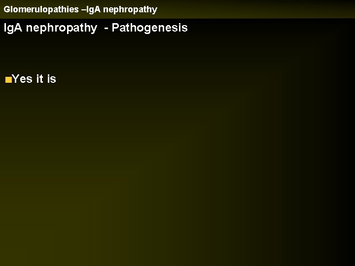 Glomerulopathies –Ig. A nephropathy - Pathogenesis Yes it is 