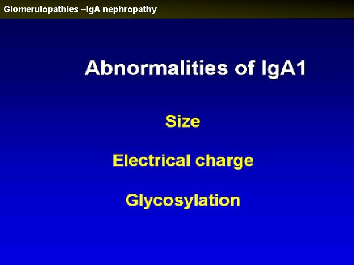 Glomerulopathies –Ig. A nephropathy 