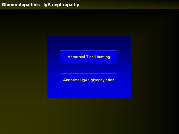 Glomerulopathies –Ig. A nephropathy 