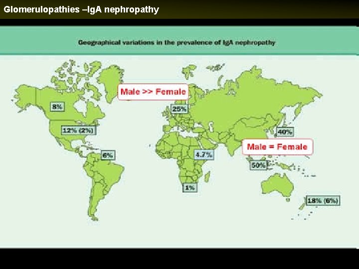 Glomerulopathies –Ig. A nephropathy 