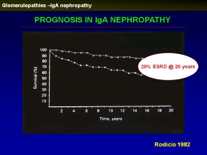 Glomerulopathies –Ig. A nephropathy 
