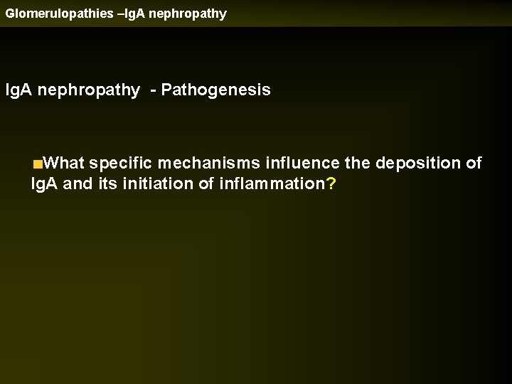 Glomerulopathies –Ig. A nephropathy - Pathogenesis What specific mechanisms influence the deposition of Ig.