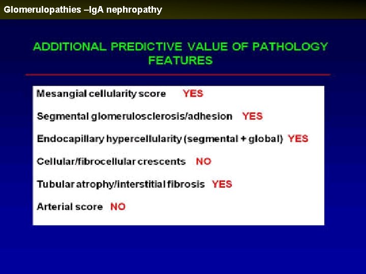 Glomerulopathies –Ig. A nephropathy 