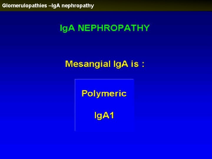 Glomerulopathies –Ig. A nephropathy 