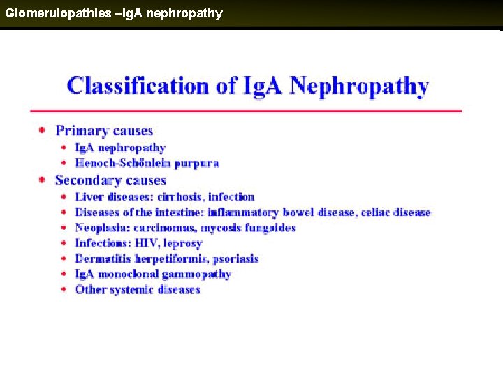 Glomerulopathies –Ig. A nephropathy 