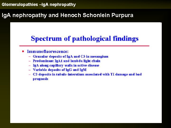 Glomerulopathies –Ig. A nephropathy and Henoch Schonlein Purpura 