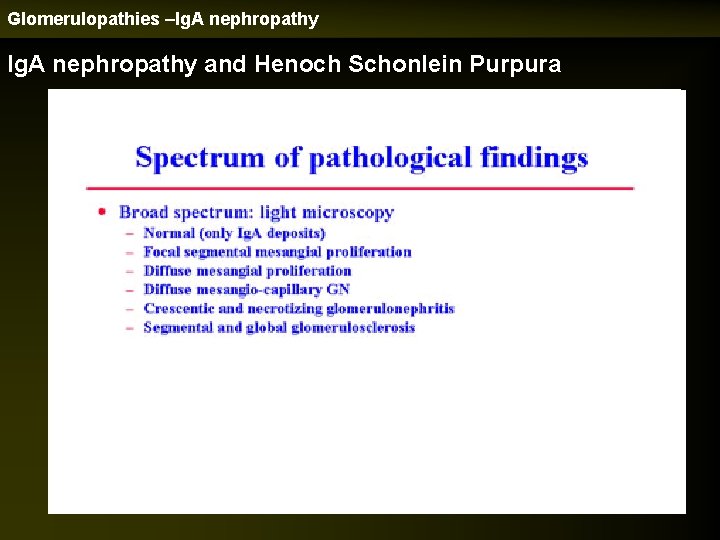 Glomerulopathies –Ig. A nephropathy and Henoch Schonlein Purpura 