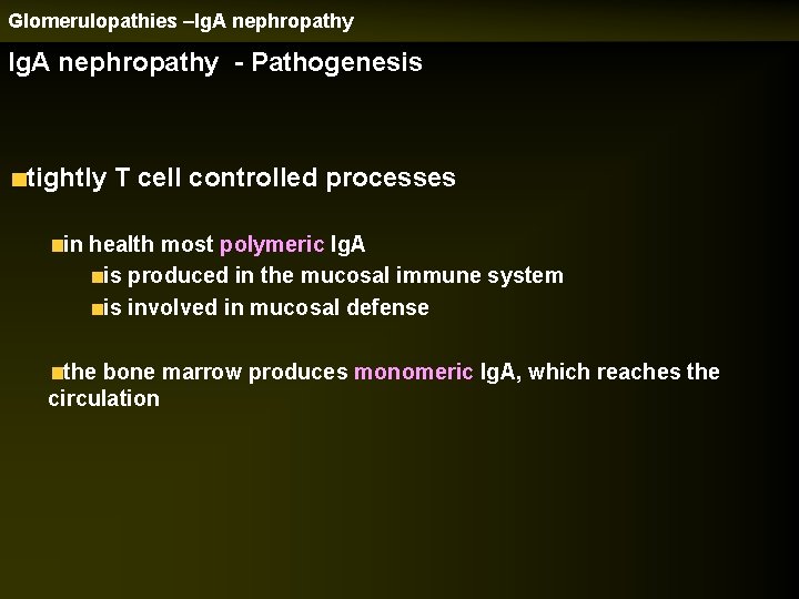 Glomerulopathies –Ig. A nephropathy - Pathogenesis tightly T cell controlled processes in health most