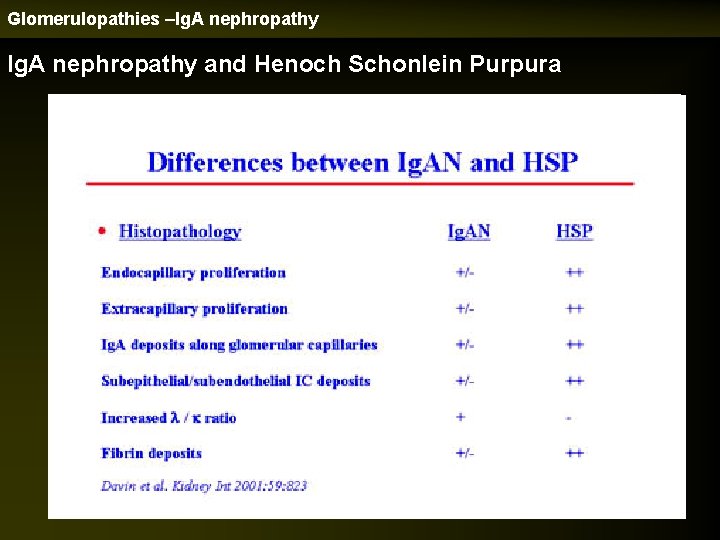Glomerulopathies –Ig. A nephropathy and Henoch Schonlein Purpura 