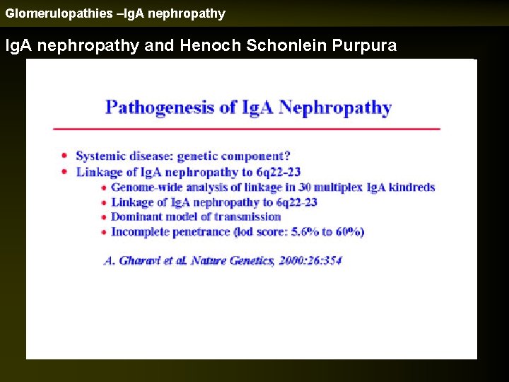 Glomerulopathies –Ig. A nephropathy and Henoch Schonlein Purpura 