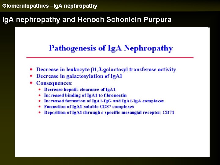 Glomerulopathies –Ig. A nephropathy and Henoch Schonlein Purpura 