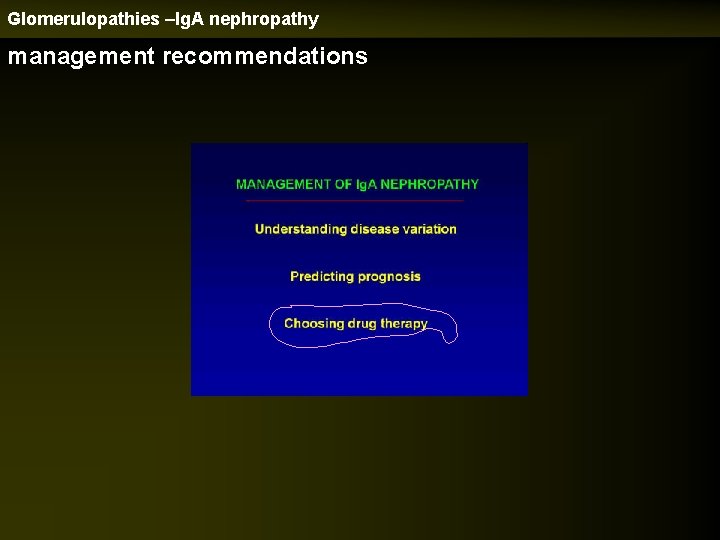 Glomerulopathies –Ig. A nephropathy management recommendations 