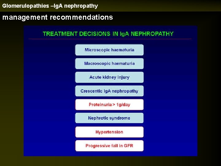 Glomerulopathies –Ig. A nephropathy management recommendations 