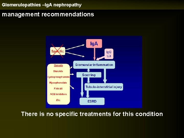 Glomerulopathies –Ig. A nephropathy management recommendations There is no specific treatments for this condition