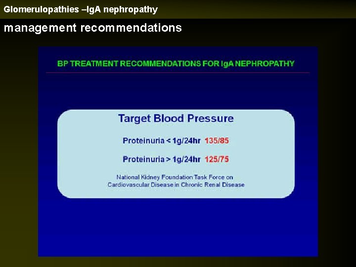Glomerulopathies –Ig. A nephropathy management recommendations 