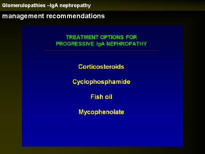 Glomerulopathies –Ig. A nephropathy management recommendations 