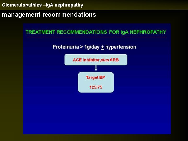 Glomerulopathies –Ig. A nephropathy management recommendations 