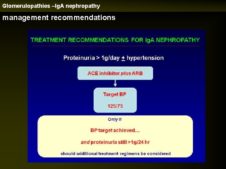Glomerulopathies –Ig. A nephropathy management recommendations 