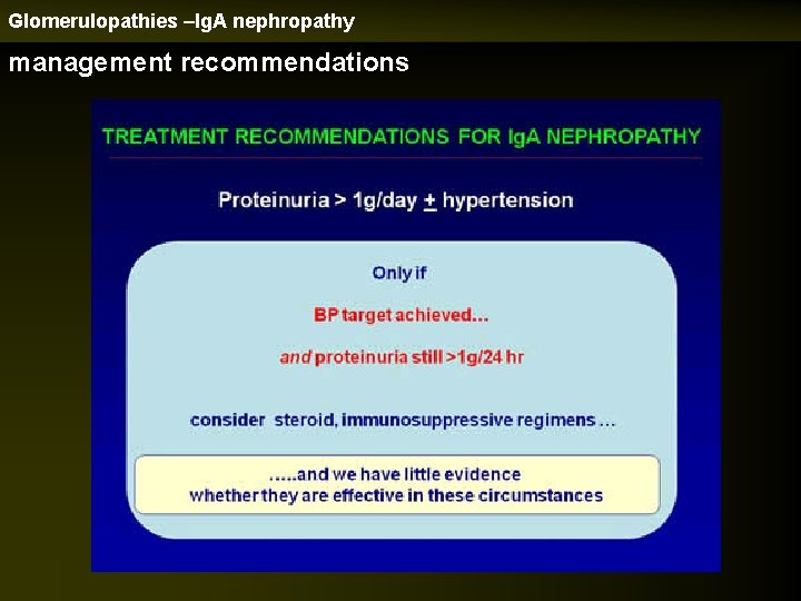 Glomerulopathies –Ig. A nephropathy management recommendations 