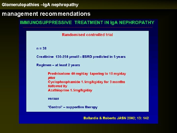 Glomerulopathies –Ig. A nephropathy management recommendations 