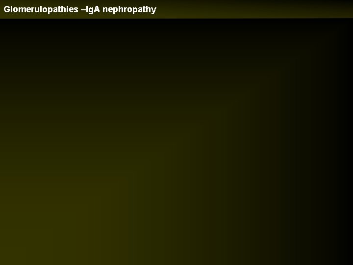 Glomerulopathies –Ig. A nephropathy 