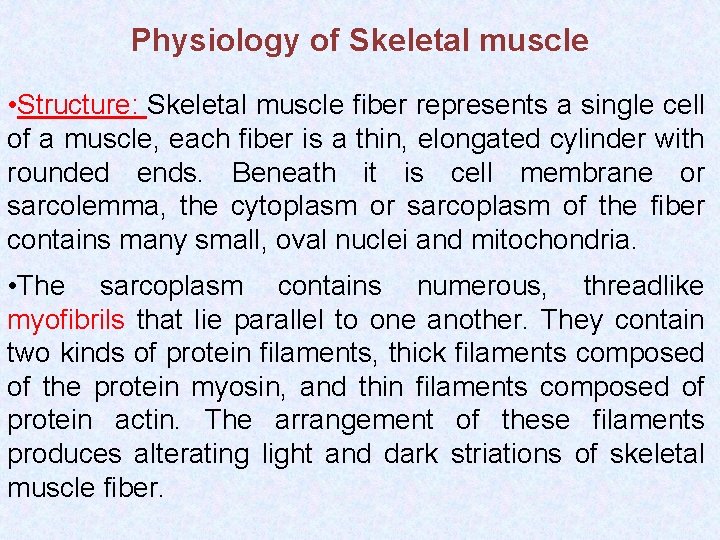 Physiology of Skeletal muscle • Structure: Skeletal muscle fiber represents a single cell of