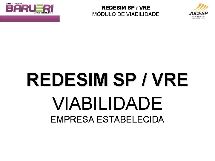 REDESIM SP / VRE MÓDULO DE VIABILIDADE REDESIM SP / VRE VIABILIDADE EMPRESA ESTABELECIDA