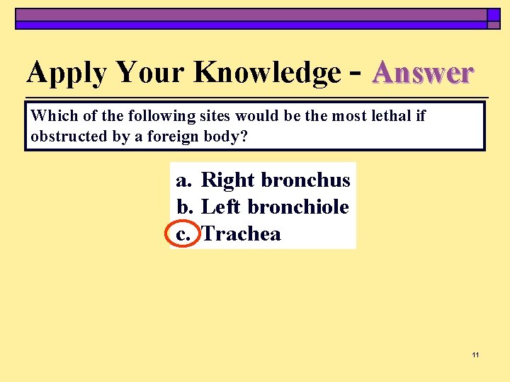 Apply Your Knowledge - Answer Which of the following sites would be the most