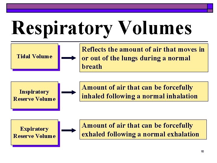 Respiratory Volumes Tidal Volume Reflects the amount of air that moves in or out