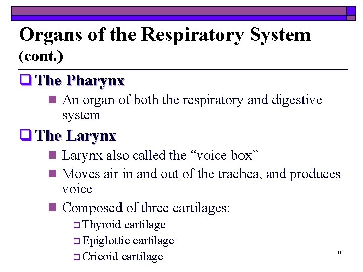 Organs of the Respiratory System (cont. ) q The Pharynx n An organ of