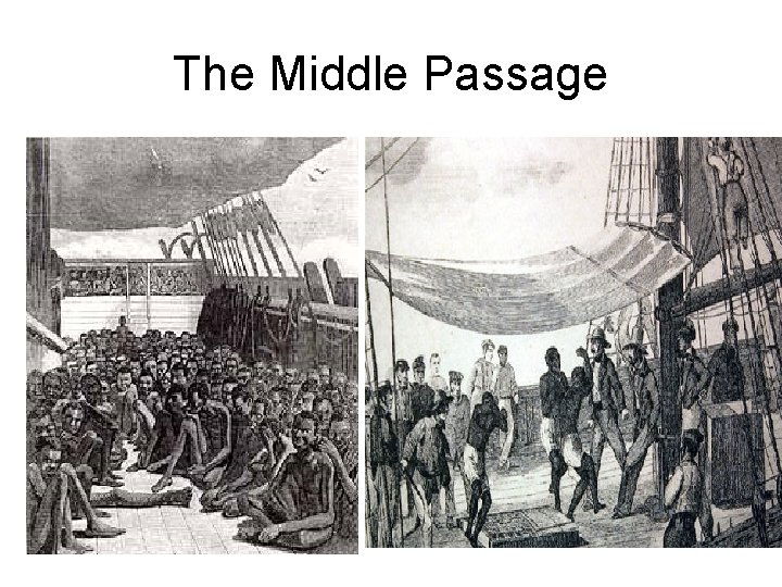 The Middle Passage 