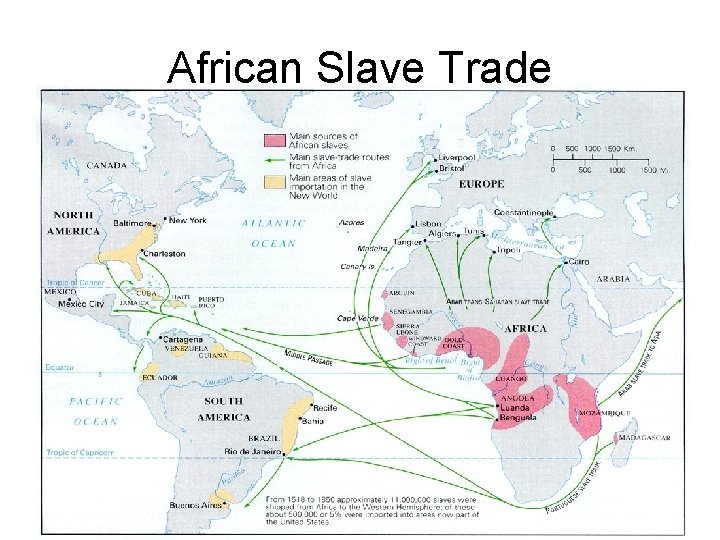 African Slave Trade 