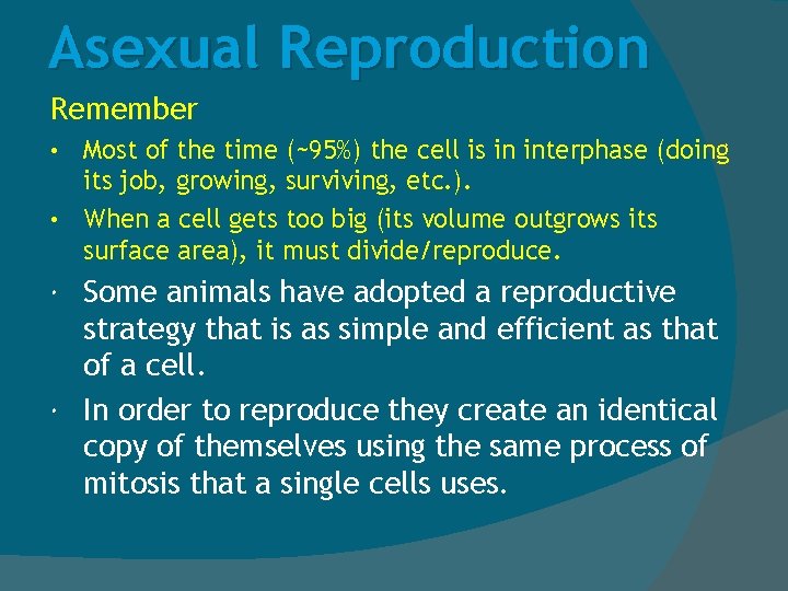 Asexual Reproduction Remember Most of the time (~95%) the cell is in interphase (doing