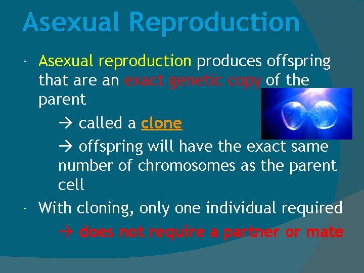 Asexual Reproduction Asexual reproduction produces offspring that are an exact genetic copy of the