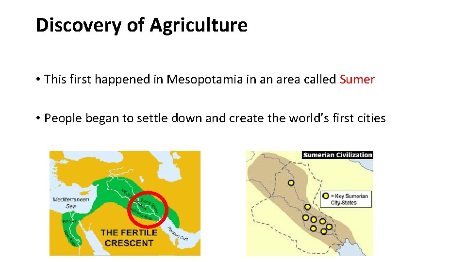 Discovery of Agriculture • This first happened in Mesopotamia in an area called Sumer