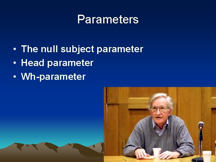 Parameters • The null subject parameter • Head parameter • Wh-parameter 