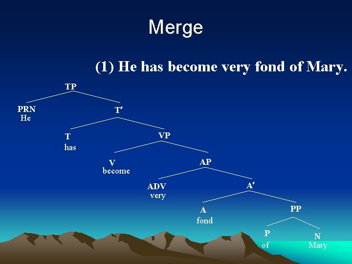 Merge (1) He has become very fond of Mary. TP PRN He T′ VP