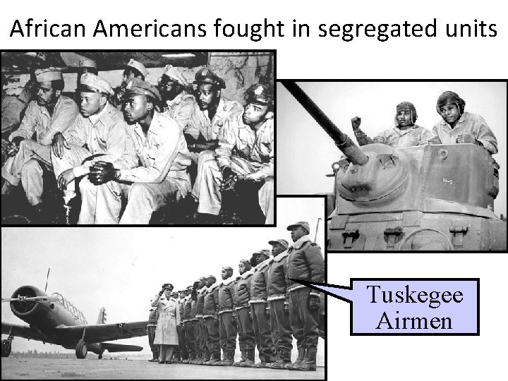 African Americans fought in segregated units Tuskegee Airmen 