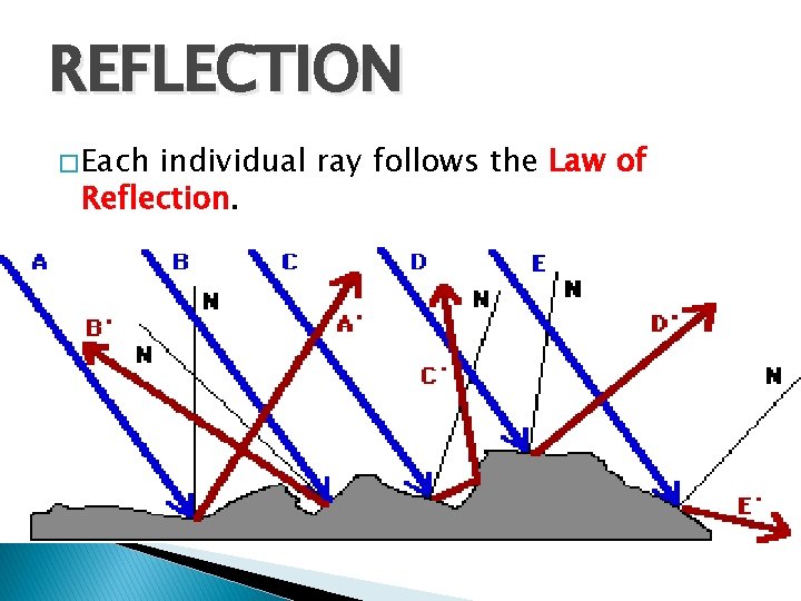 REFLECTION � Each individual ray follows the Law of Reflection. 