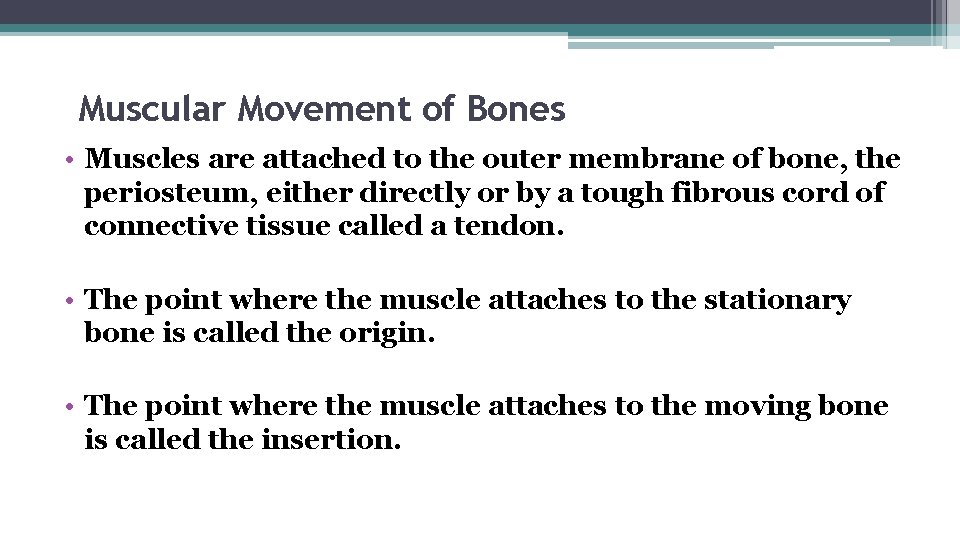 Muscular Movement of Bones • Muscles are attached to the outer membrane of bone,