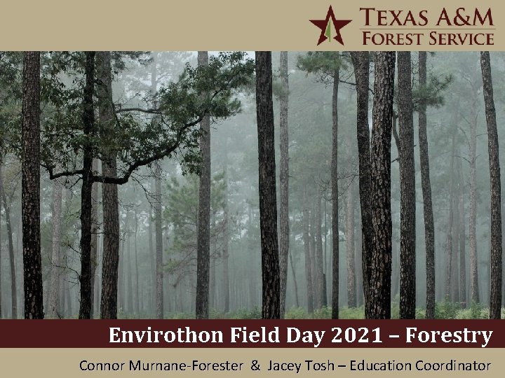 Envirothon Field Day 2021 – Forestry 1/6/2022 Connor Murnane-Forester 1 & Jacey Tosh –